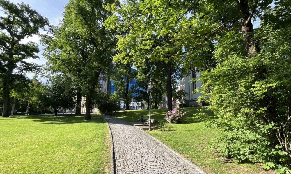 Der nahe Park