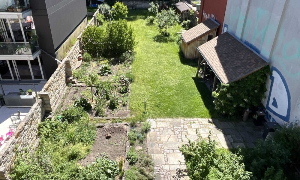 Blick in den Garten