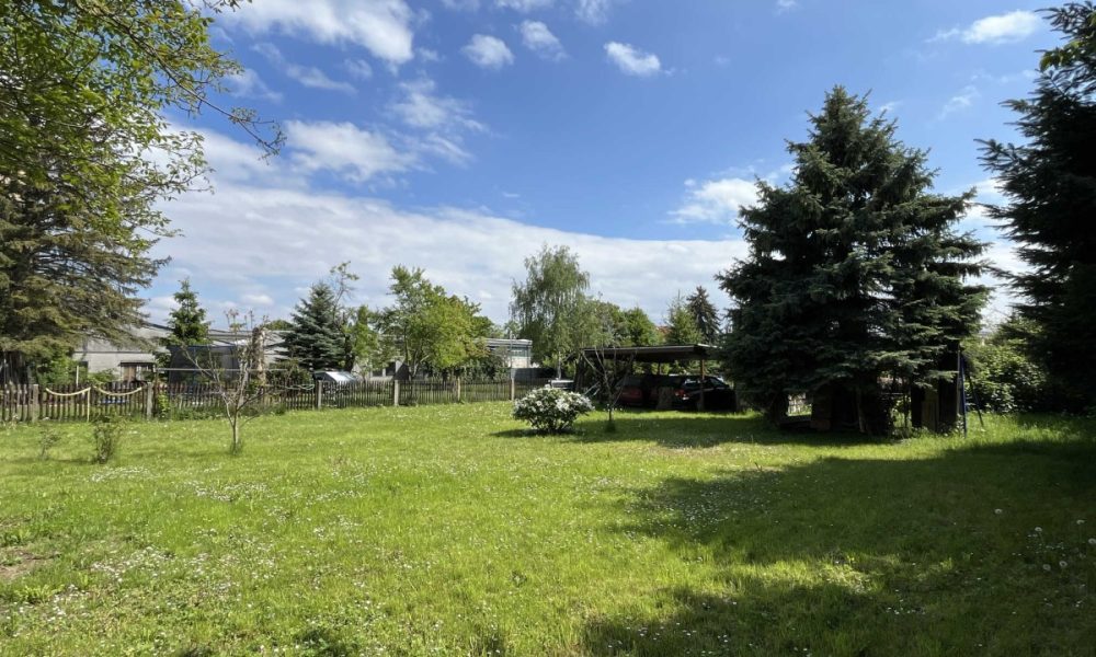 Blick in den Garten