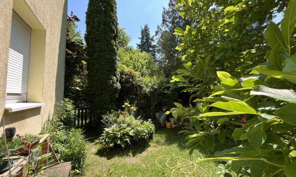 Blick von der Terrasse