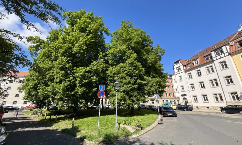 Ein naher Park