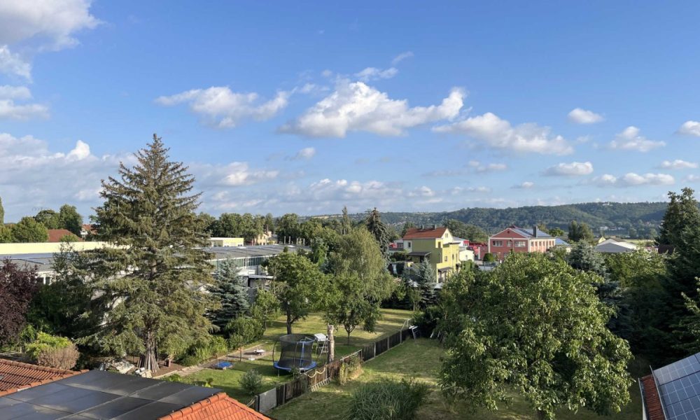 Der Ausblick
