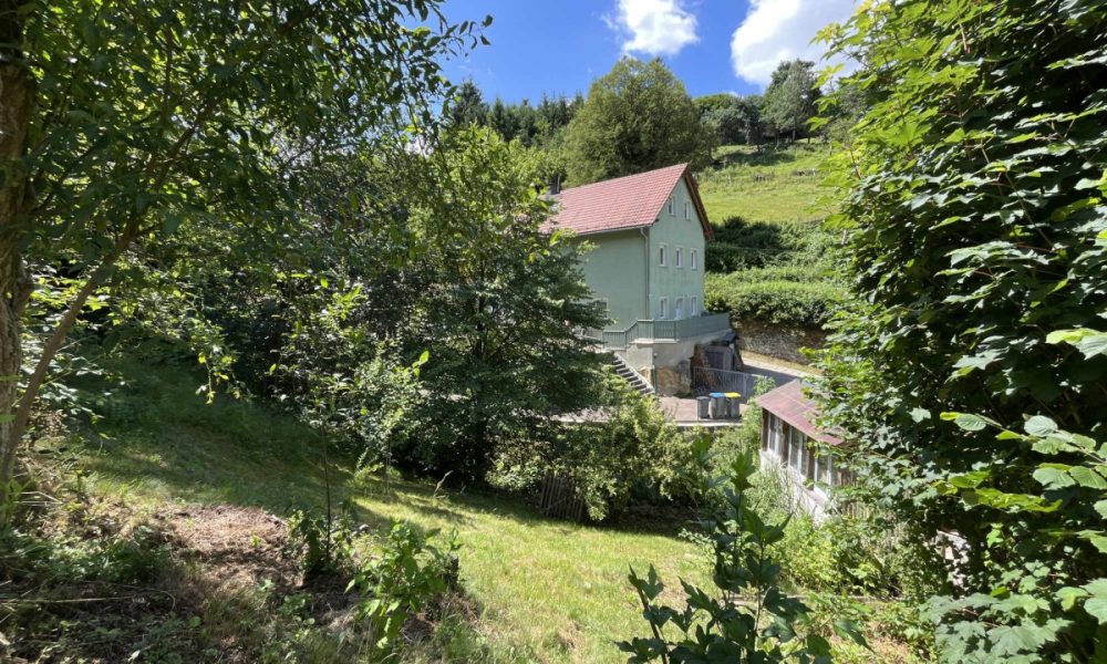Blick auf den Garten