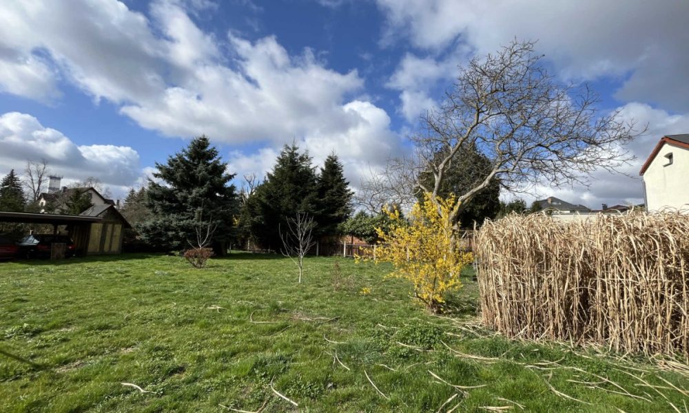 Blick in den Garten