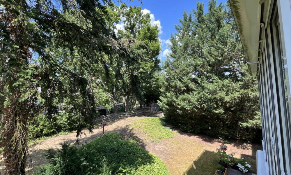 Blick in den Garten