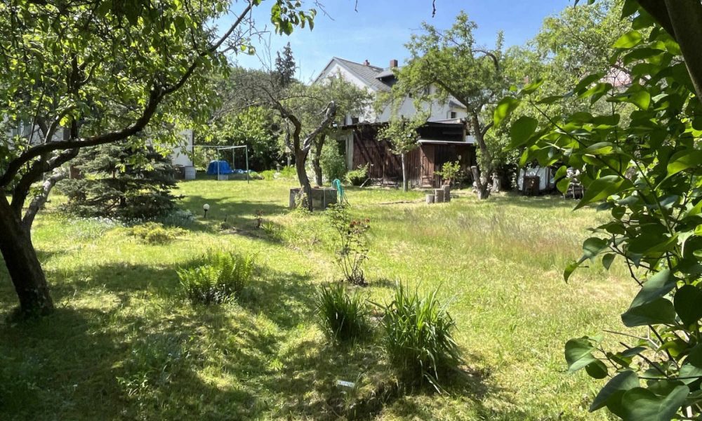 Blick aufs Grundstück