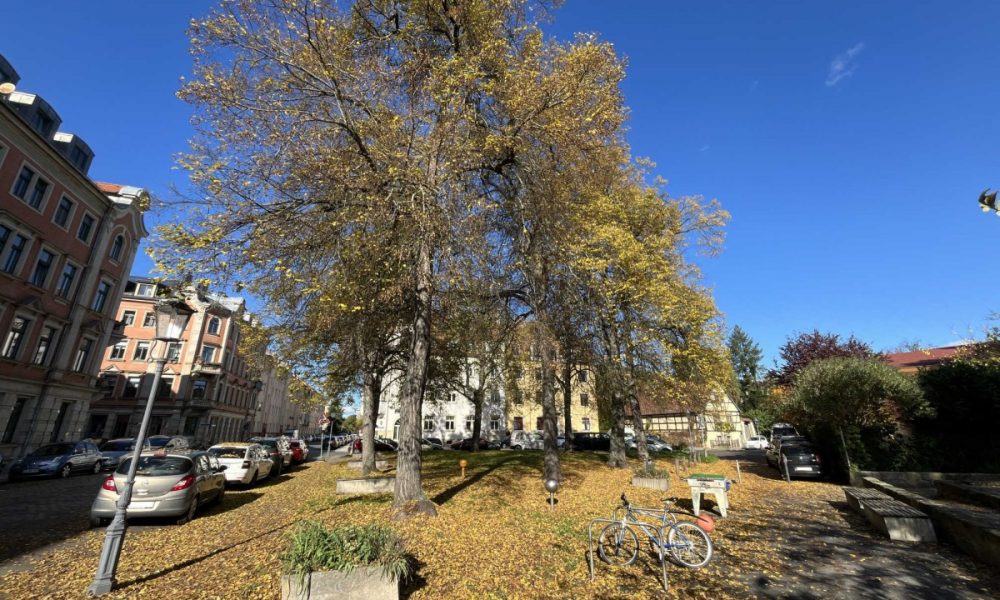 Ein naher Park