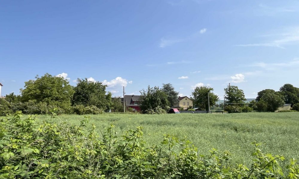 Nahe Wiesen u. Felder