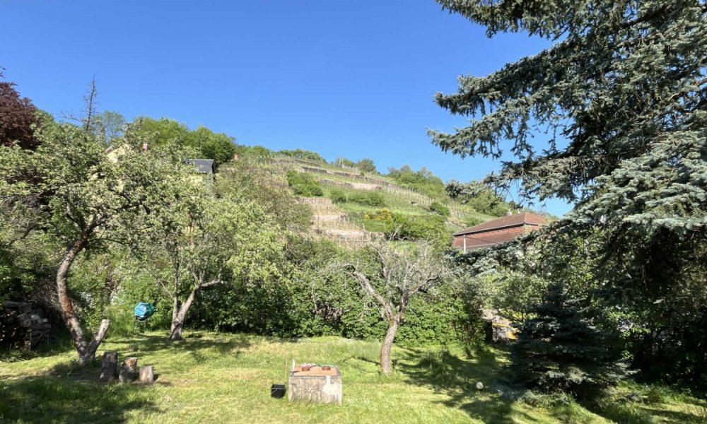 Blick vom Grundstück