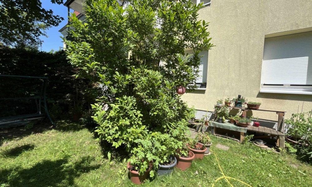 Im eigenen Garten